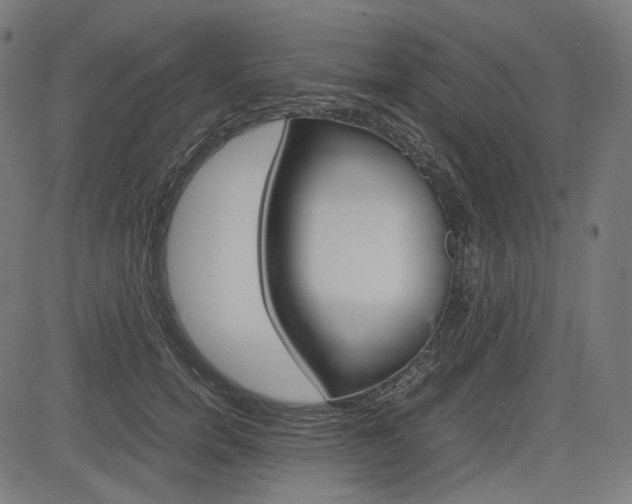 X0000085230750200703090856