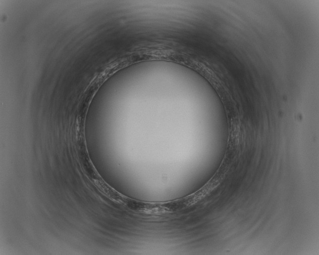 X0000085230752200703090856