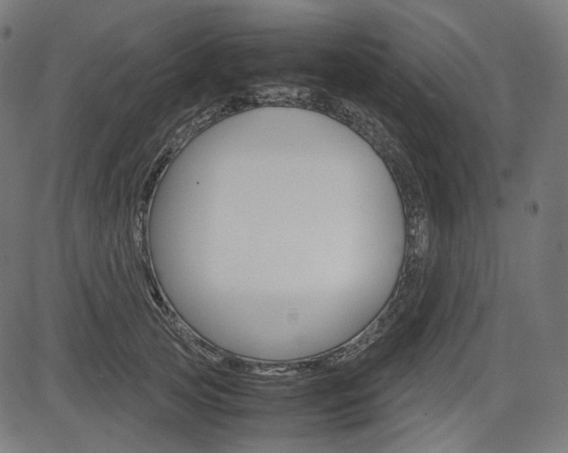 X0000085230753200703090856