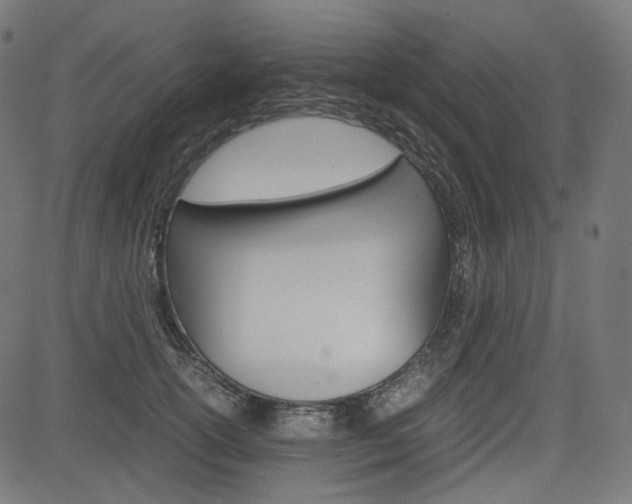 X0000085230754200703090856