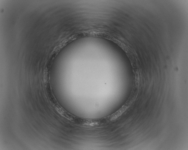 X0000085230760200703090856