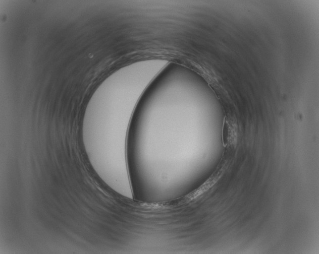 X0000085230766200703090856