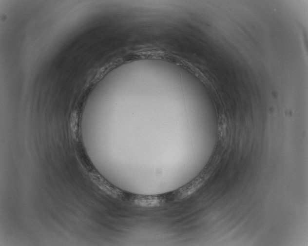 X0000085230767200703090856