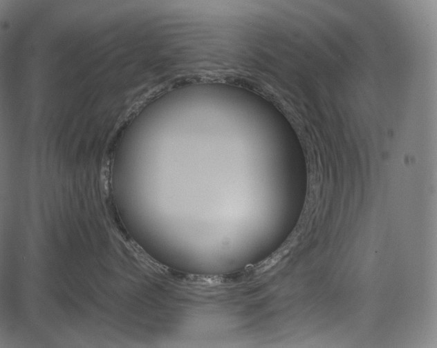 X0000085230768200703090856