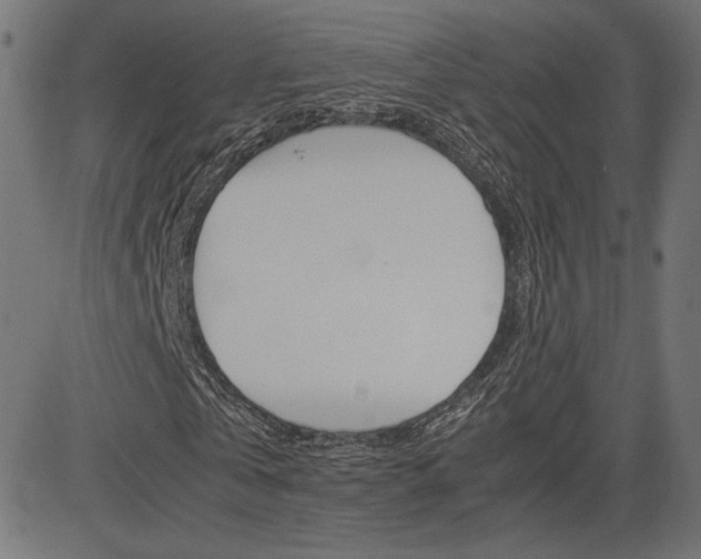 X0000085230769200703090856