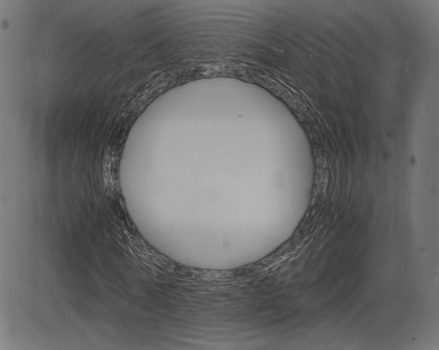 X0000085230770200703090856