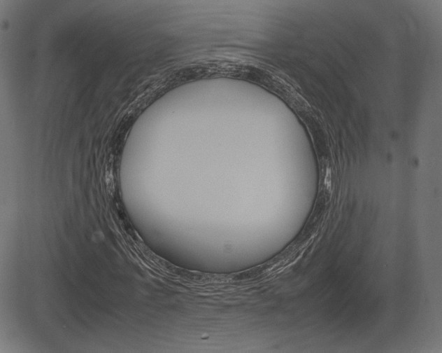 X0000085230771200703090856