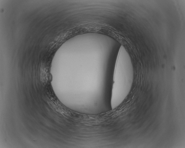 X0000085230772200703090856
