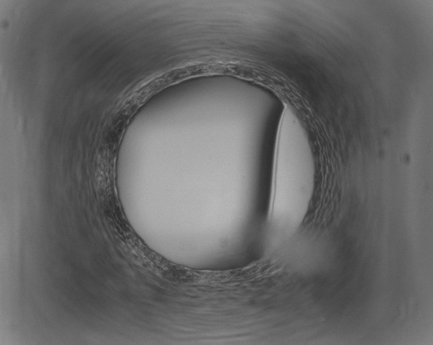 X0000085230773200703090856