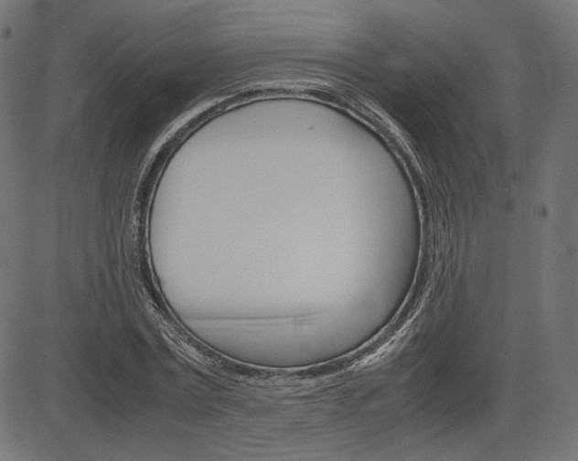 X0000085230779200703090856