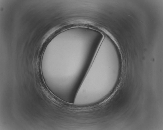 X0000085230783200703090855