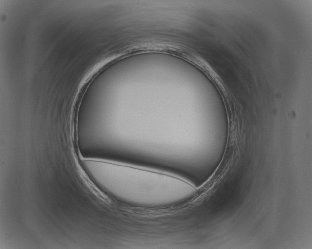 X0000085230795200703090855