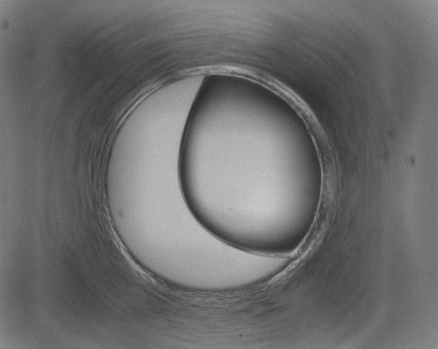 X0000085230809200703090855