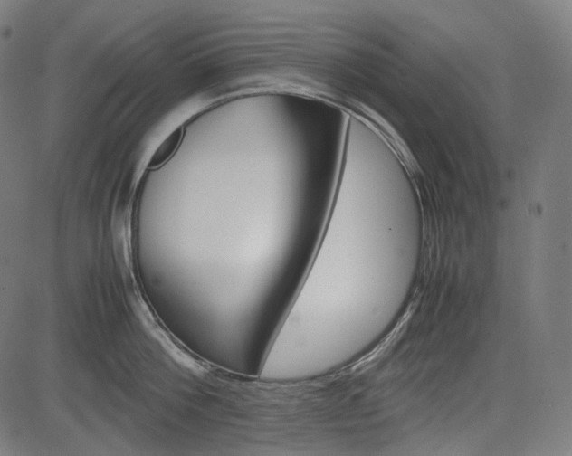 X0000085230812200703090855