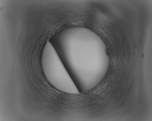 X0000085230817200703090854