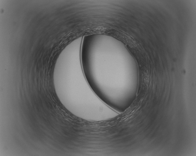X0000085230818200703090854