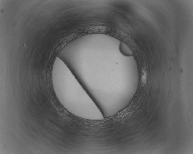 X0000085230819200703090854
