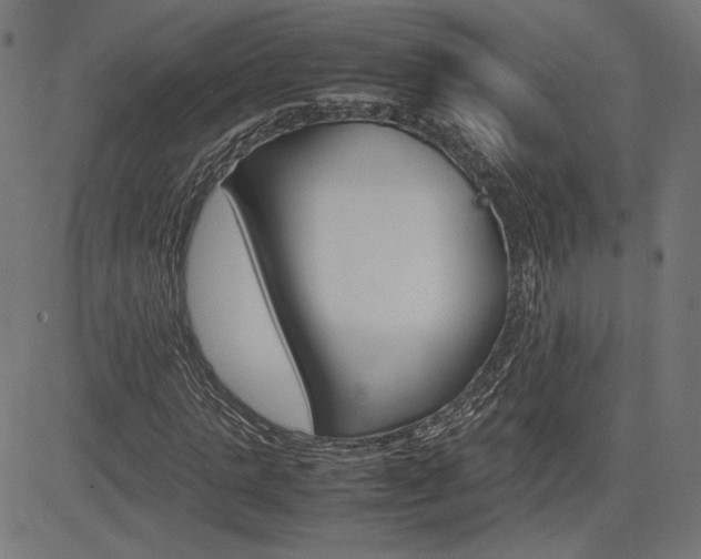 X0000085230821200703090854