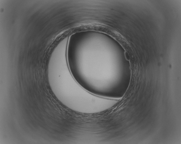 X0000085230822200703090854
