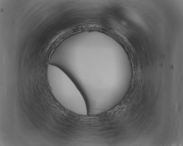 X0000085230823200703090854