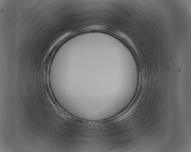 X0000085230827200703090854