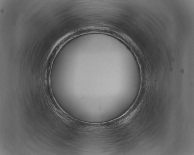 X0000085230830200703090854