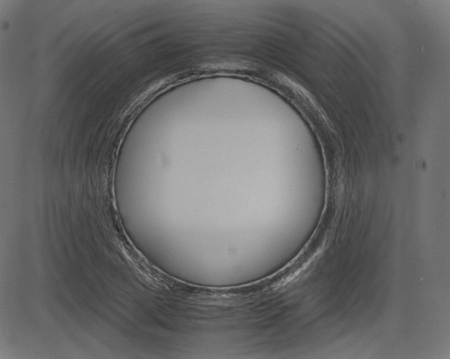 X0000085230833200703090854