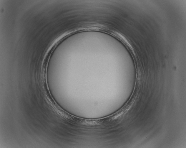 X0000085230835200703090854
