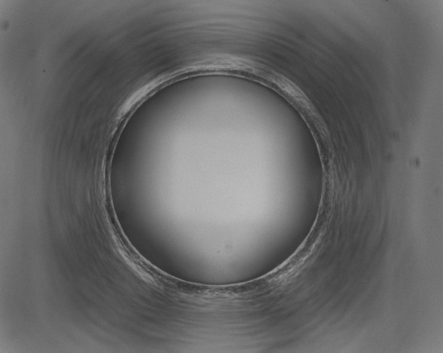 X0000085230842200703090855