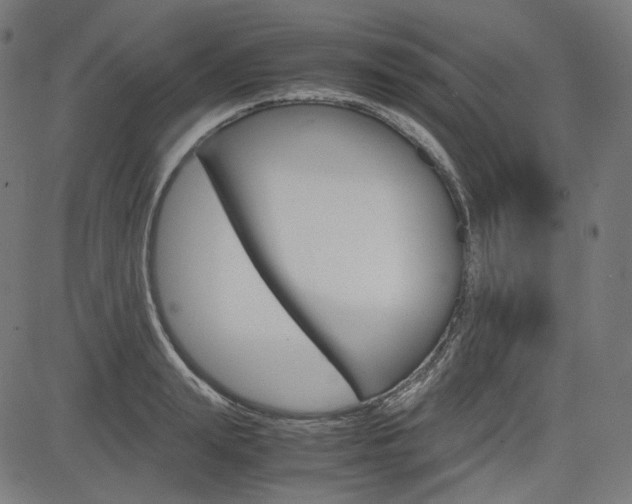 X0000085230847200703090855