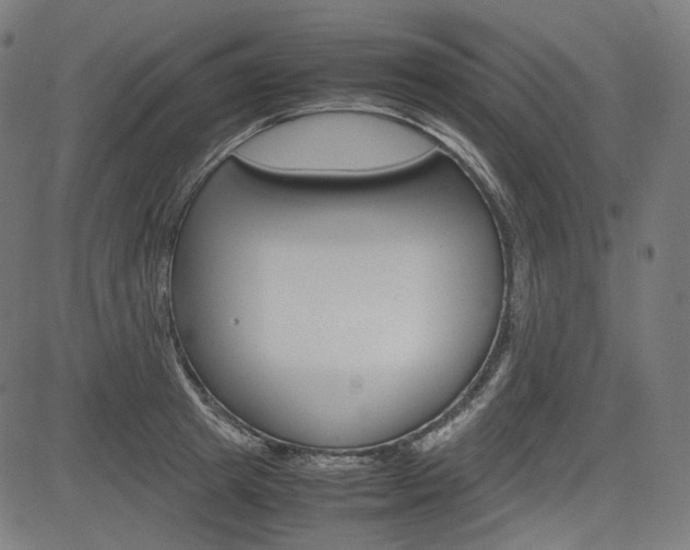 X0000085230849200703090855