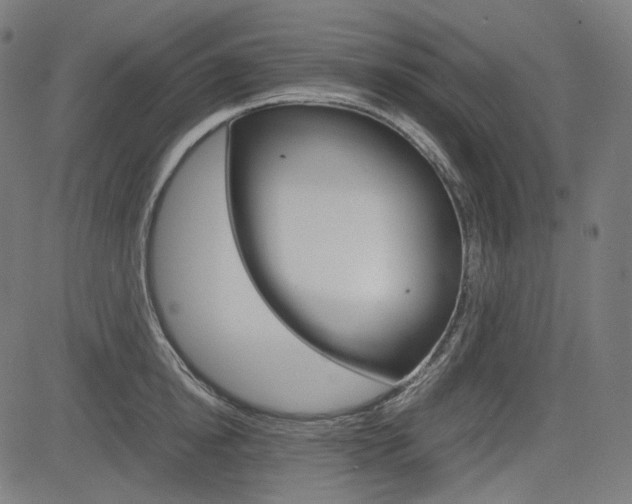 X0000085230854200703090855