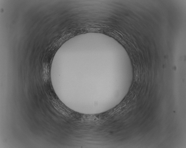 X0000085230866200703090854