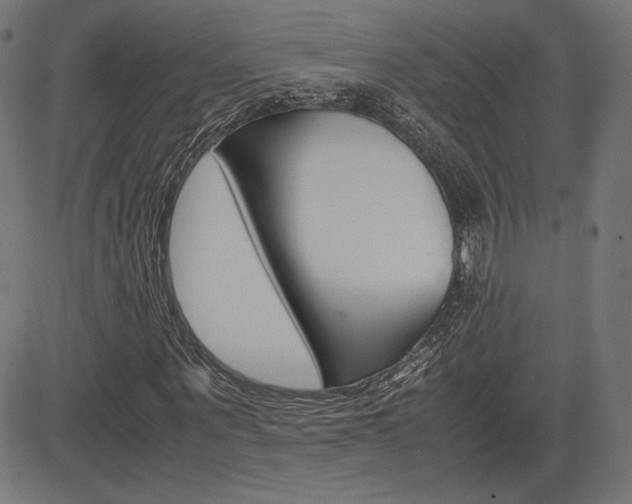 X0000085230867200703090854