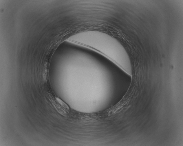 X0000085230868200703090854