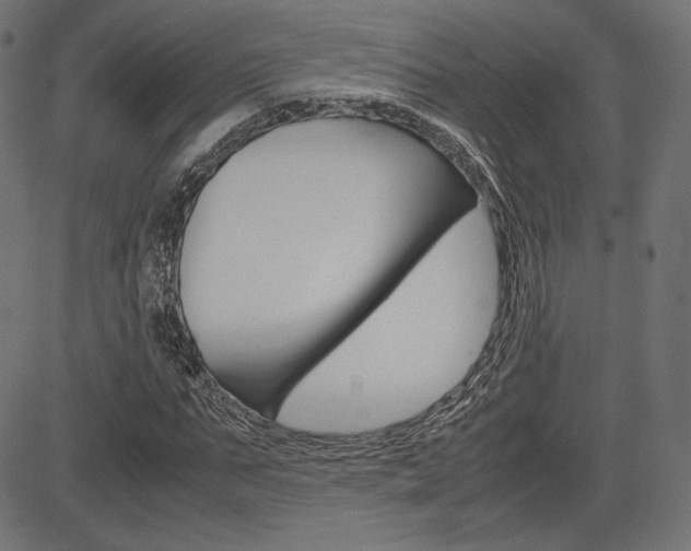 X0000085230871200703090854