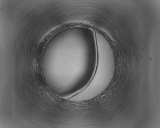 X0000085230872200703090854