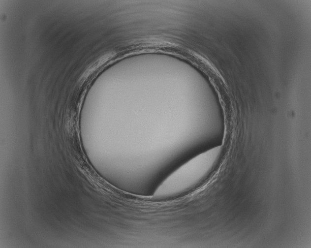 X0000085230873200703090854