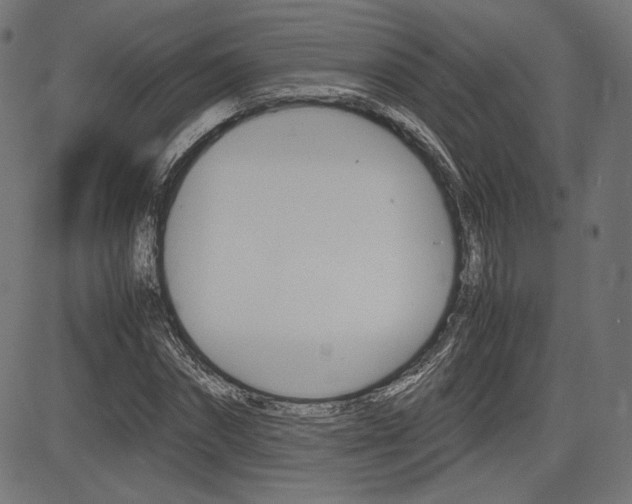 X0000085230874200703090854