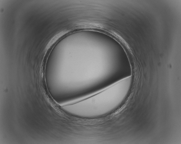 X0000085230885200703090854