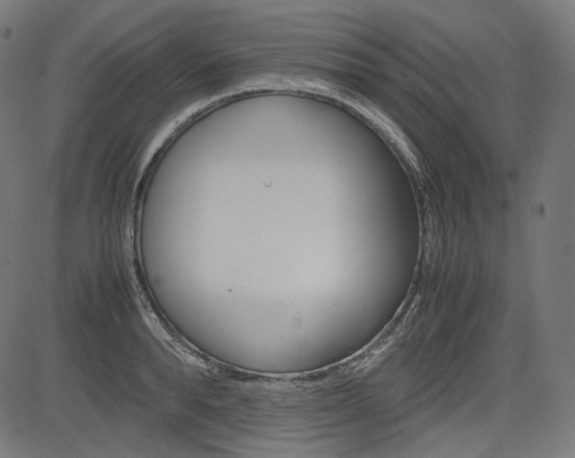 X0000085230896200703090854