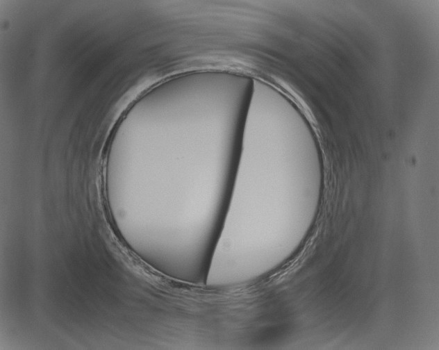 X0000085230899200703090854