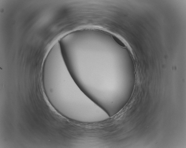 X0000085230911200703090853