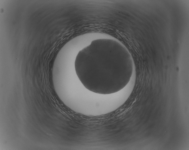 X0000085230913200703090853