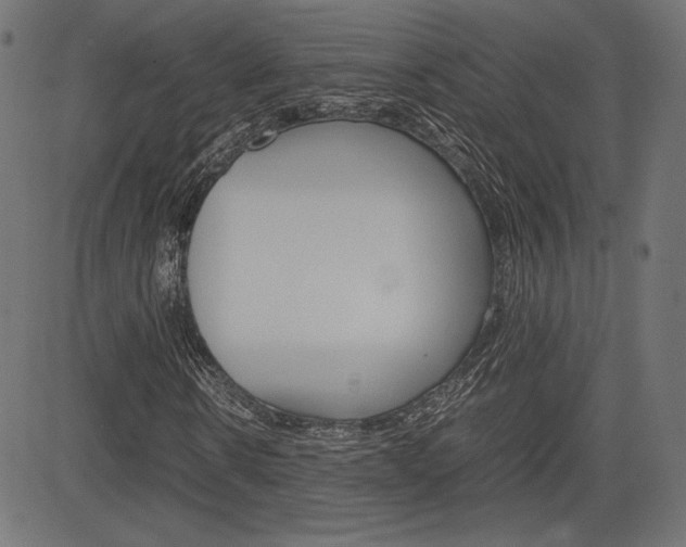 X0000085230914200703090853