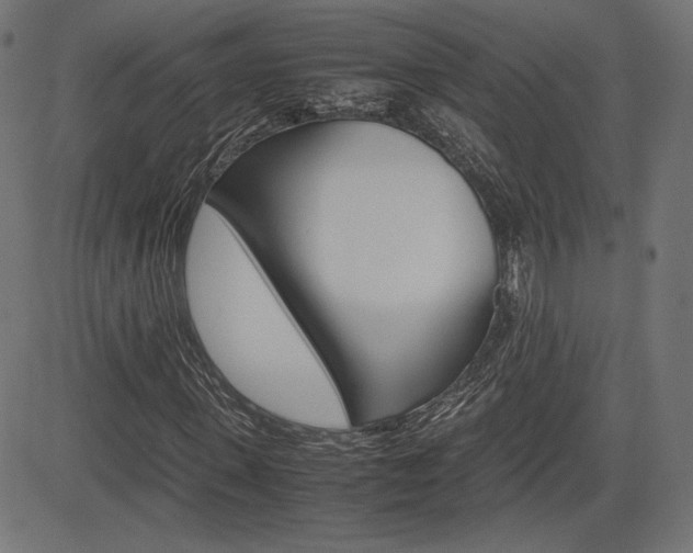 X0000085230915200703090853