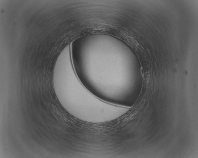 X0000085230916200703090853