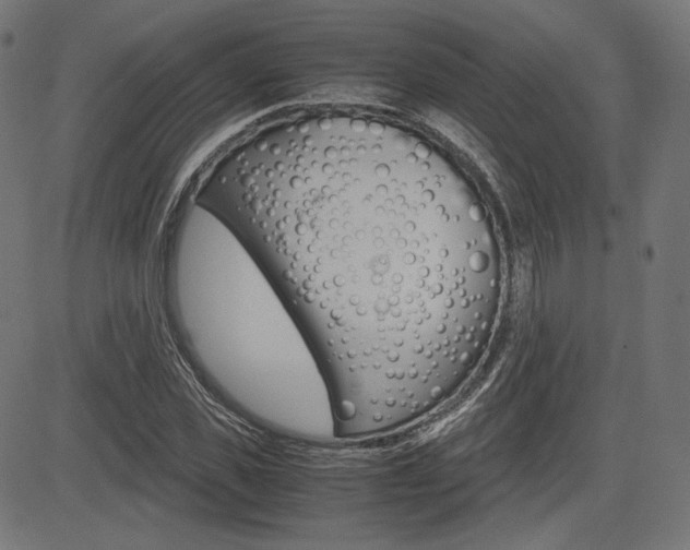 X0000085230925200703090853