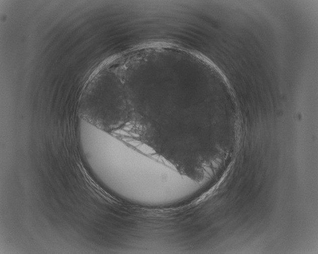 X0000085230929200703090853