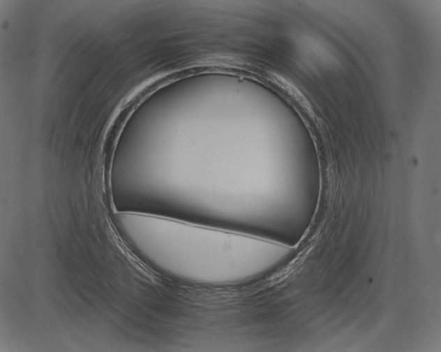 X0000085230931200703090853